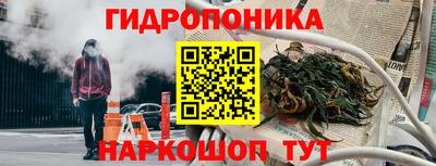 дмт Гудермес