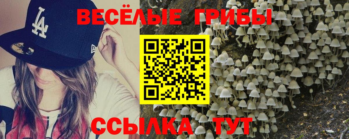 Отрадный  Галлюциногенные грибы MAGIC MUSHROOMS  Вход с VPN 