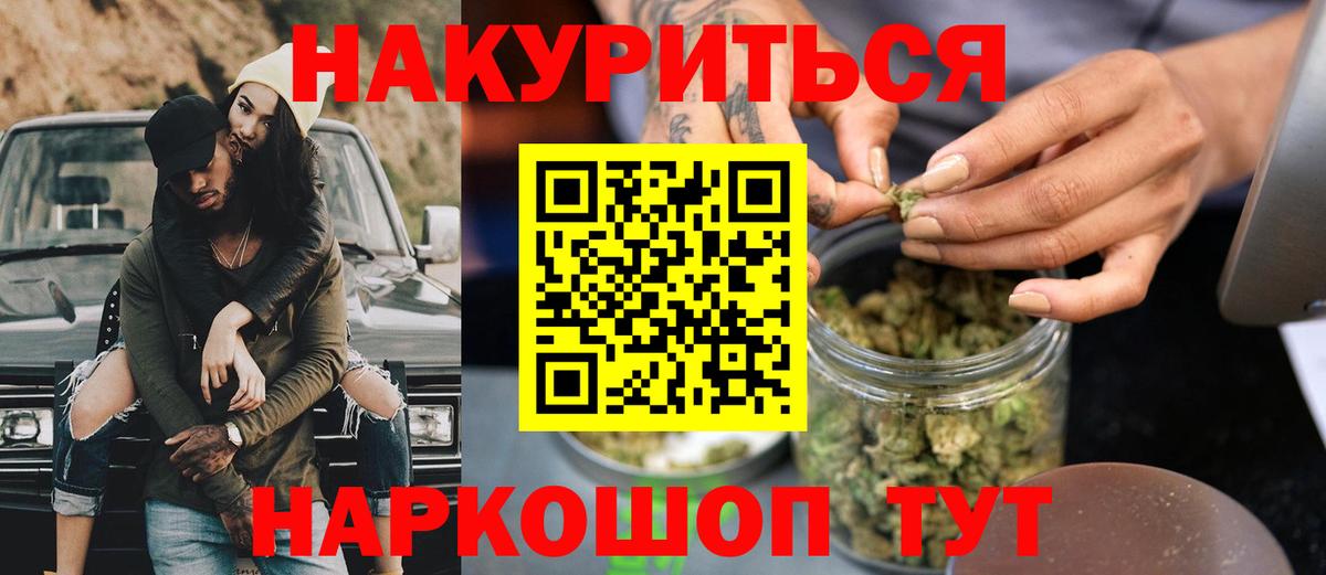 Канабис сатива Отрадный